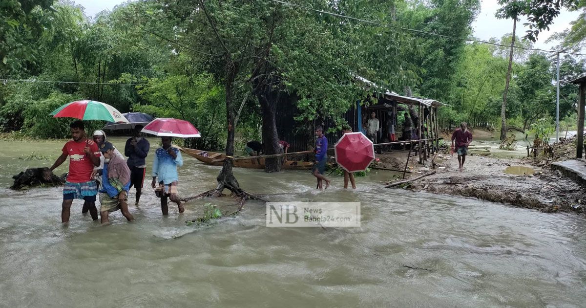 সাপ-আফালের ভয়ে নির্ঘুম রাত কাটে তাদের