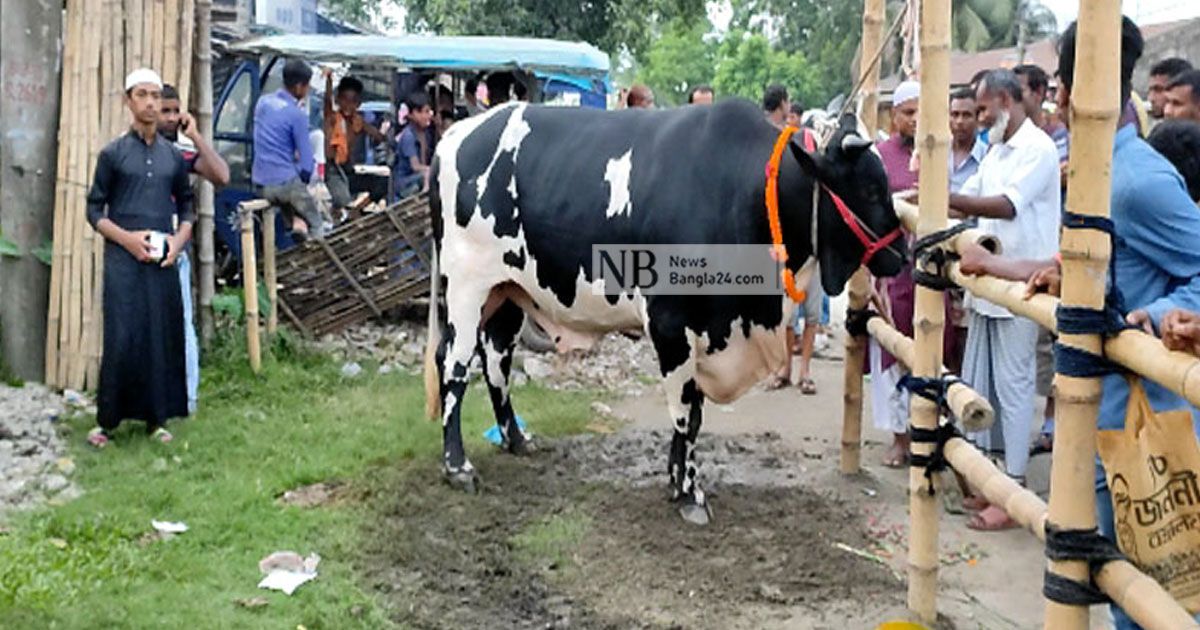 হাটে এল রাজা-বাদশা-জমিদার