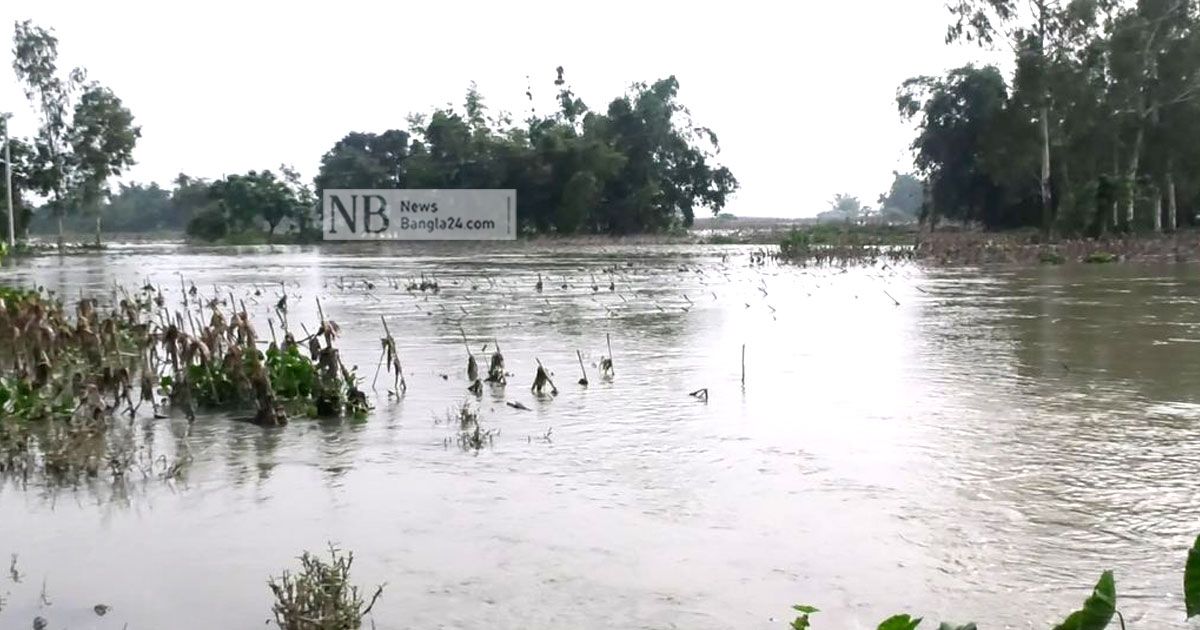 আগাম-বন্যায়-সর্বনাশ-কৃষকের