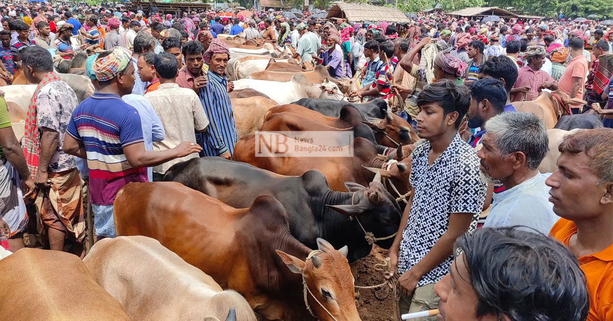 হাটে পশু আছে, ক্রেতা নেই