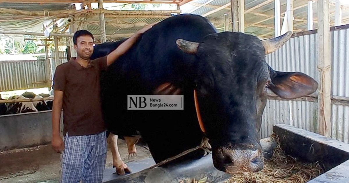 ক্রেতা মিলছে না ৩৮ মণ ওজনের সম্রাটের