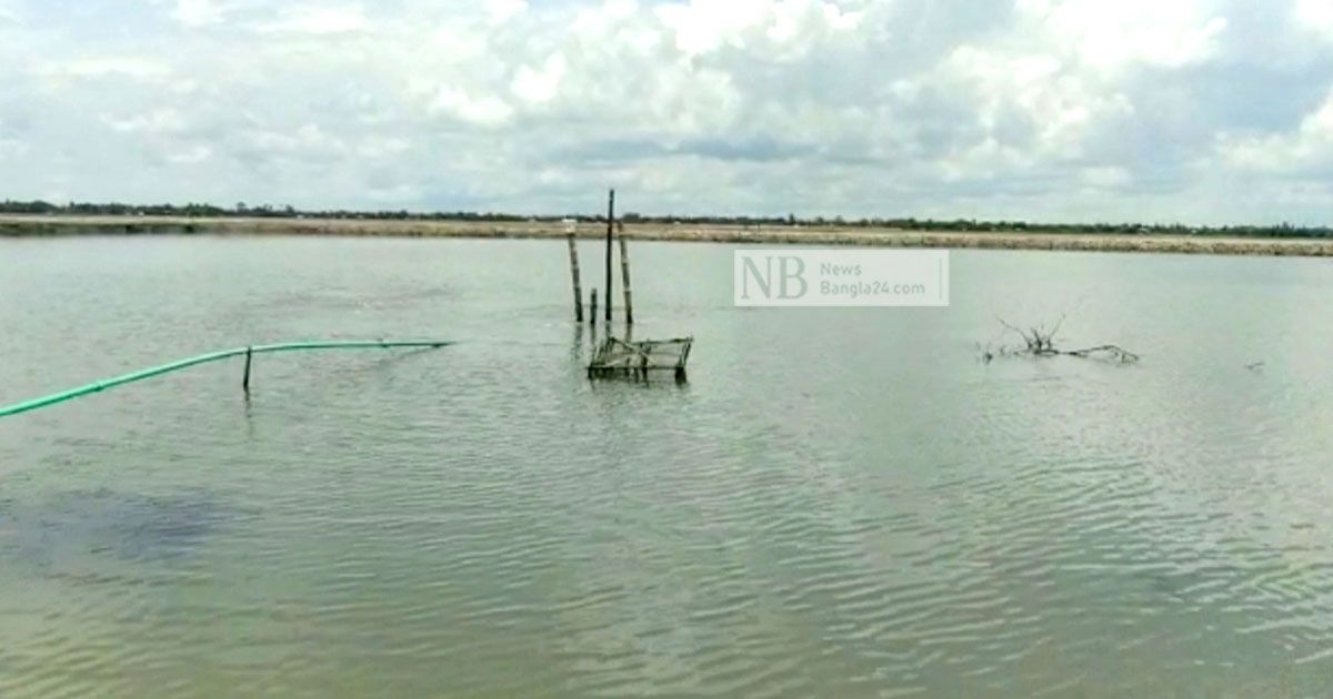 মাছের ঘেরে গ্যাস, চুলা জ্বাললেন মালিক