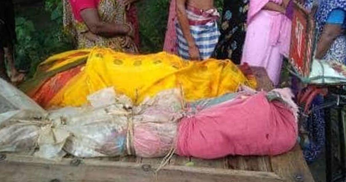 ট্রাকচাপায় মা-মেয়ে নিহত