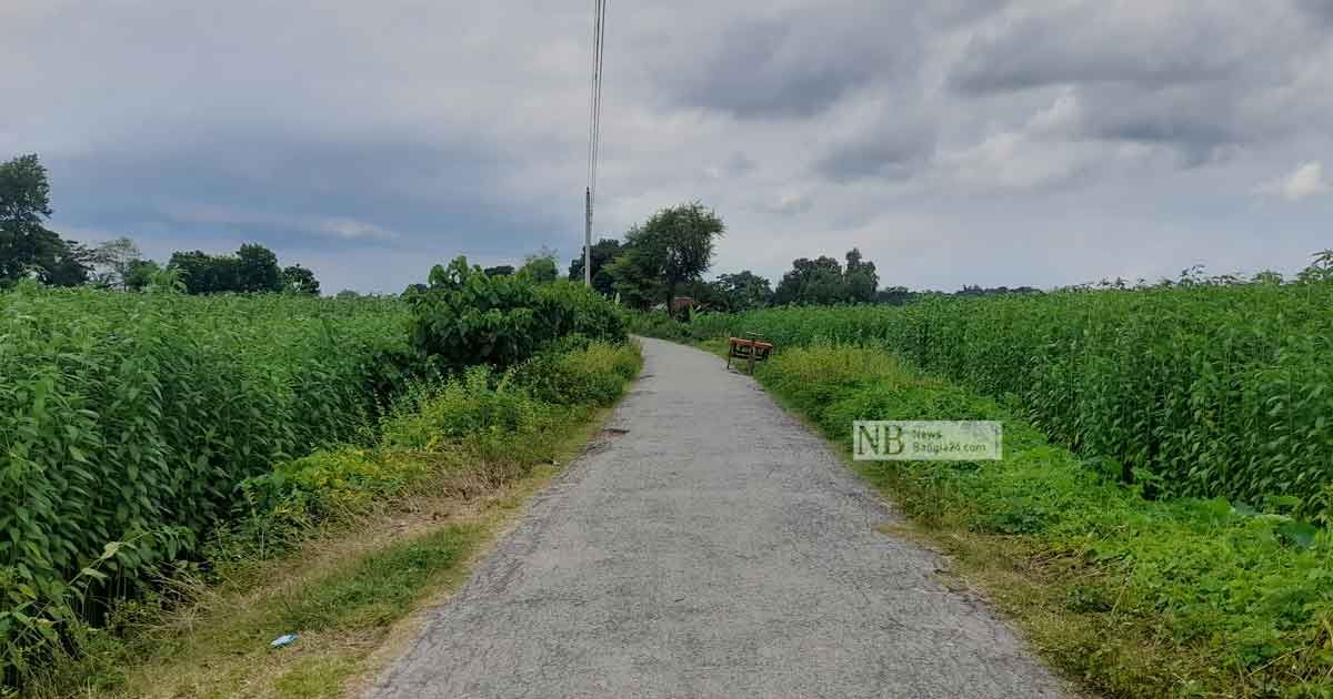 ইউপি সদস্যকে প্রকাশ্যে হত্যা, অন্ধকারে পুলিশ