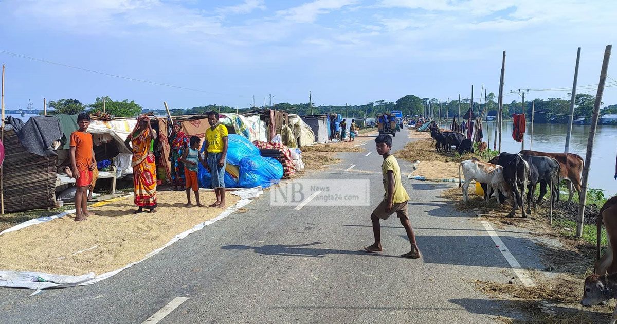 সড়কে পশুর সঙ্গে বসবাস