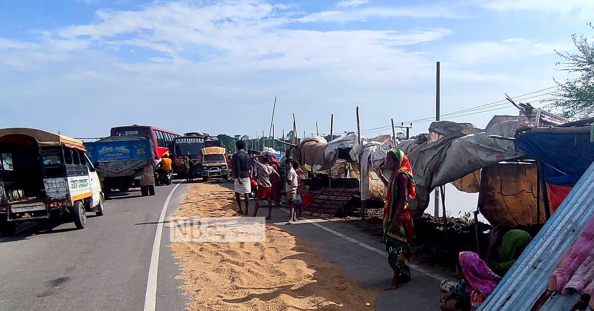 সড়কে পশুর সঙ্গে বসবাস