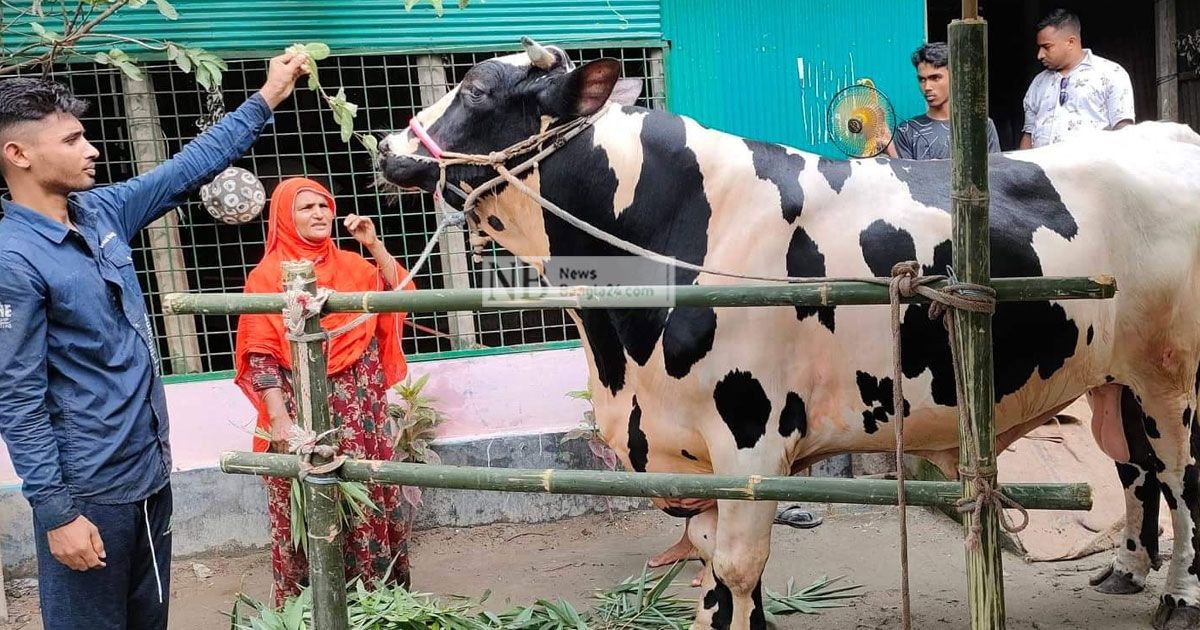 ৩০ মণের ইউটিউবার, ৩২ মণের চিরকুমার