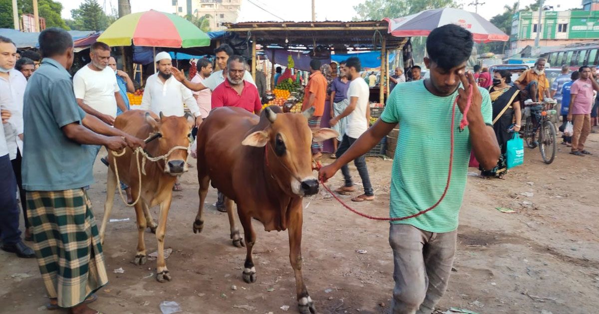 বগুড়ার-হাটে-হাটে-দ্বিগুণ-খাজনা-আদায়