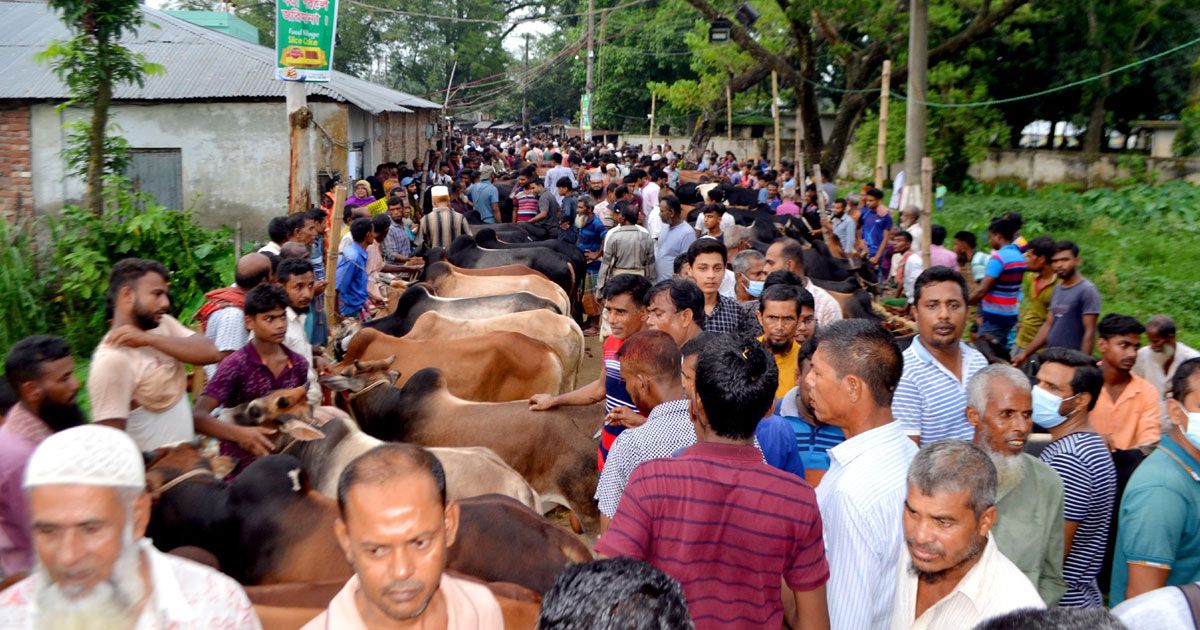 বগুড়ার হাটে হাটে দ্বিগুণ খাজনা আদায়