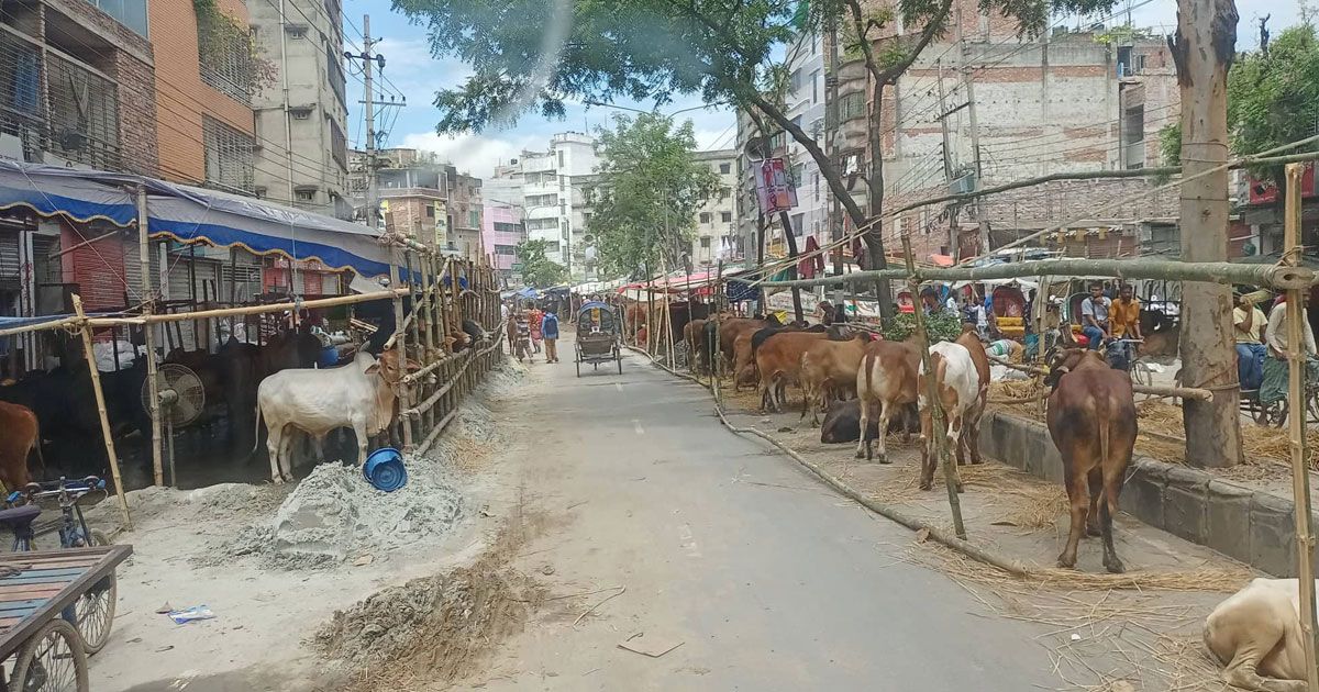 পশুর-হাটে-ভোগান্তি-চলাচলে