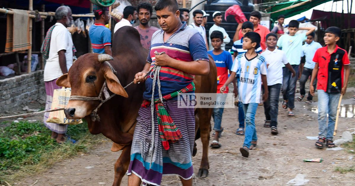 জমেনি রাজধানীর পশুর হাট, দাম যাচাইয়ে ব্যস্ত তরুণরা