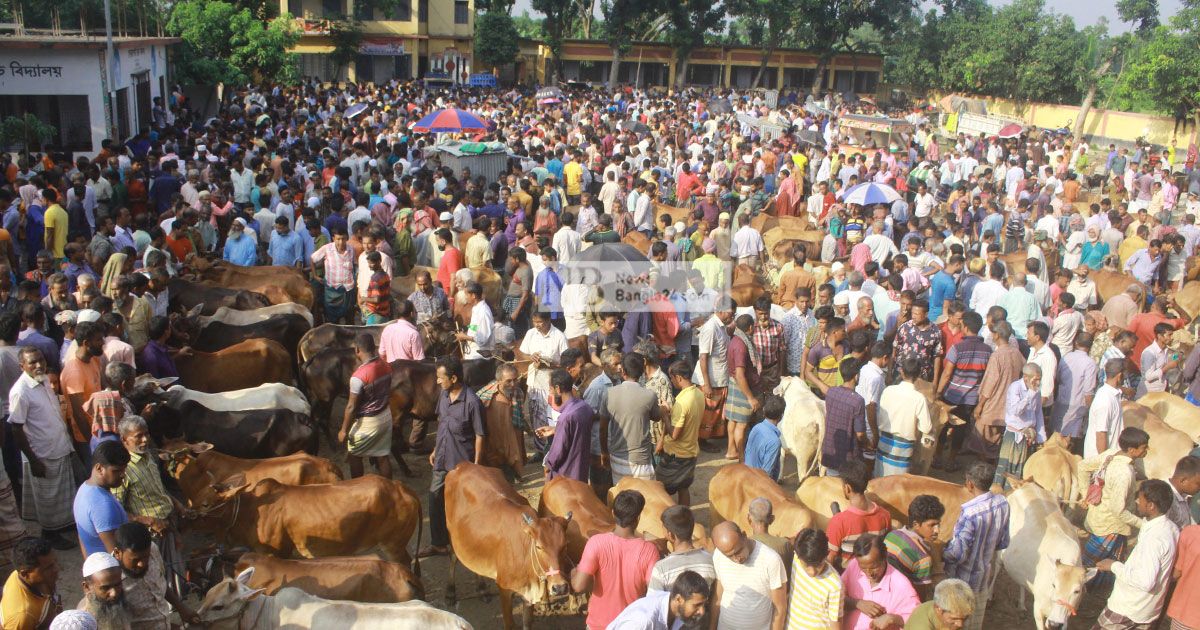 নওগাঁয়-দামে-খুশি-খামারিরা-নাখোশ-ক্রেতা