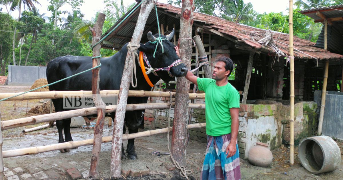 ৫৫ মণের ‘কালা পাহাড়’ নিয়ে দুশ্চিন্তা