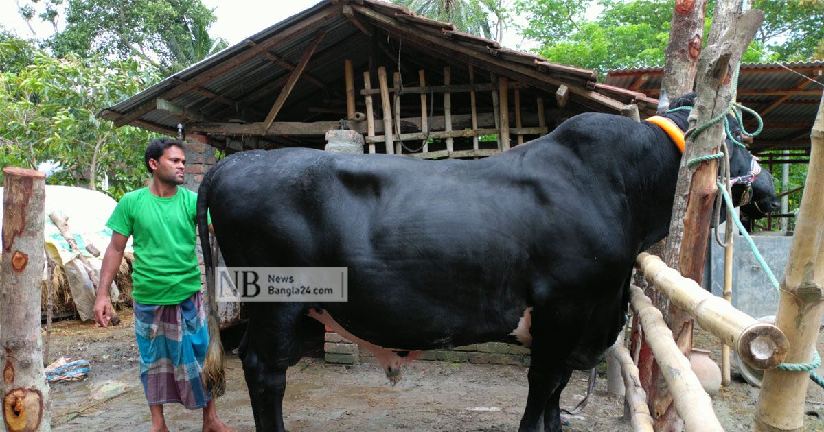 ৫৫-মণের-কালা-পাহাড়-নিয়ে-দুশ্চিন্তা