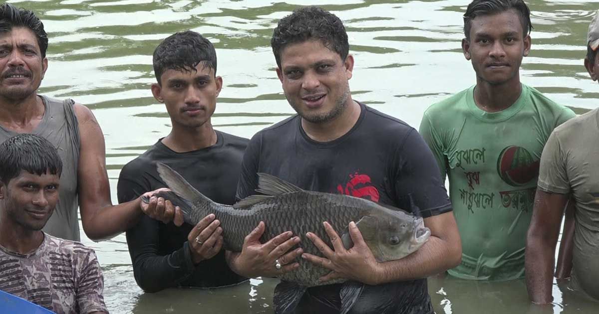 দেশীয়-হারানো-মাছ-ফিরিয়ে-আনবেন-মান্নান