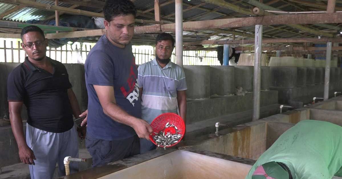দেশীয় হারানো মাছ ফিরিয়ে আনবেন মান্নান