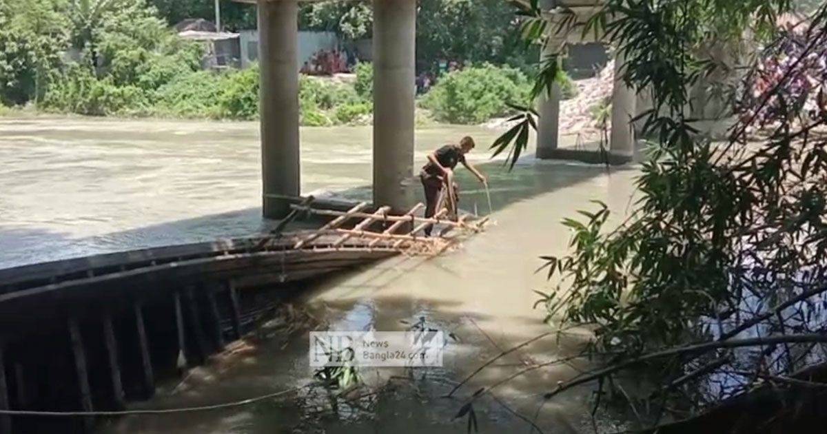 ট্রলার ডুবে ২ গরুর মৃত্যু, নিখোঁজ ৮টি