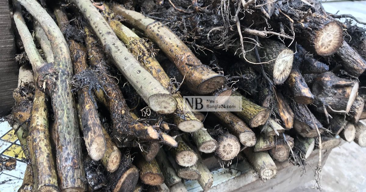 ঈদের আগে চুইঝালের দামে আগুন