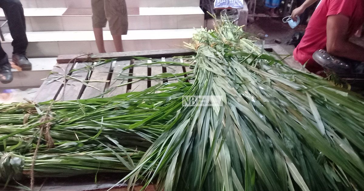 কাঁঠালপাতার আঁটি ৫০ টাকা