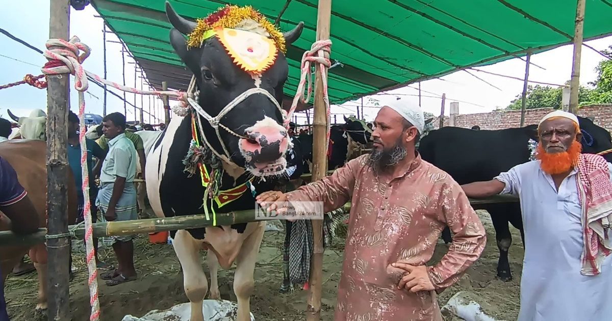 এবার কোরবানির গরু ‘ওমর সানী’ নামে