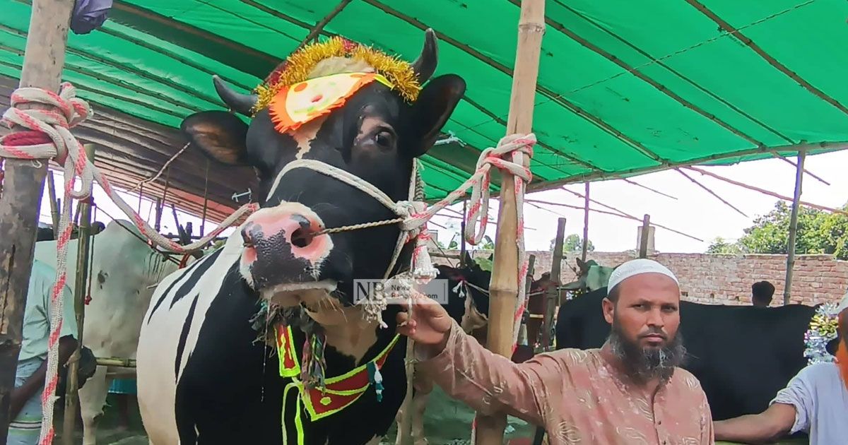 এবার কোরবানির গরু ‘ওমর সানী’ নামে