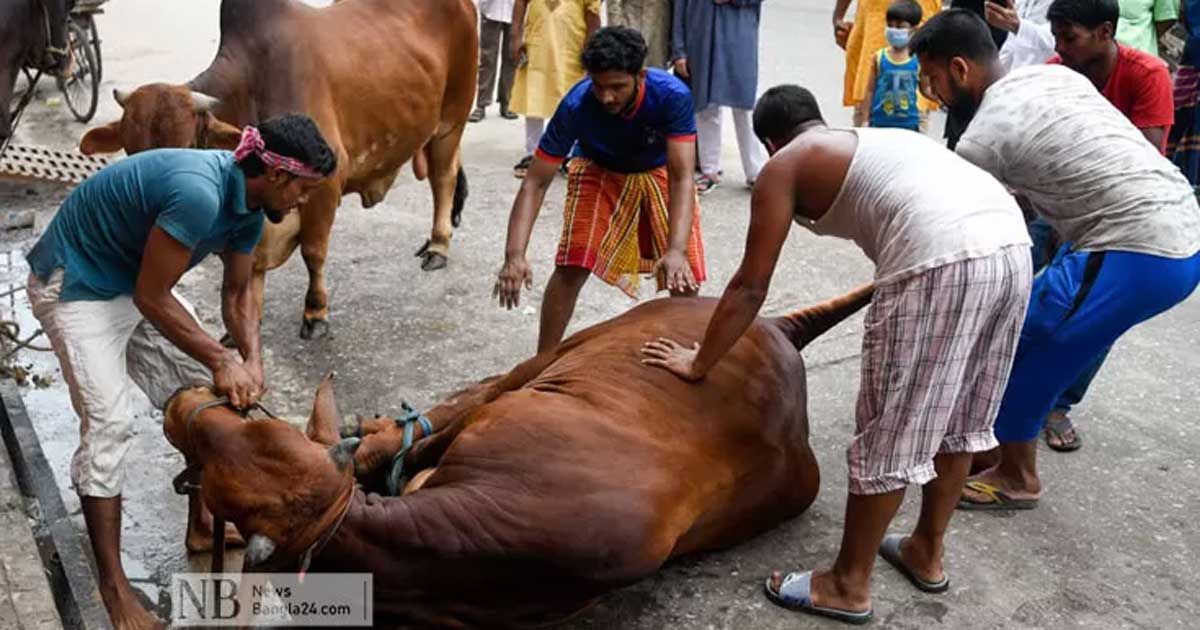 কসাইয়ের-পারিশ্রমিক-এত-বেশি-কেন
