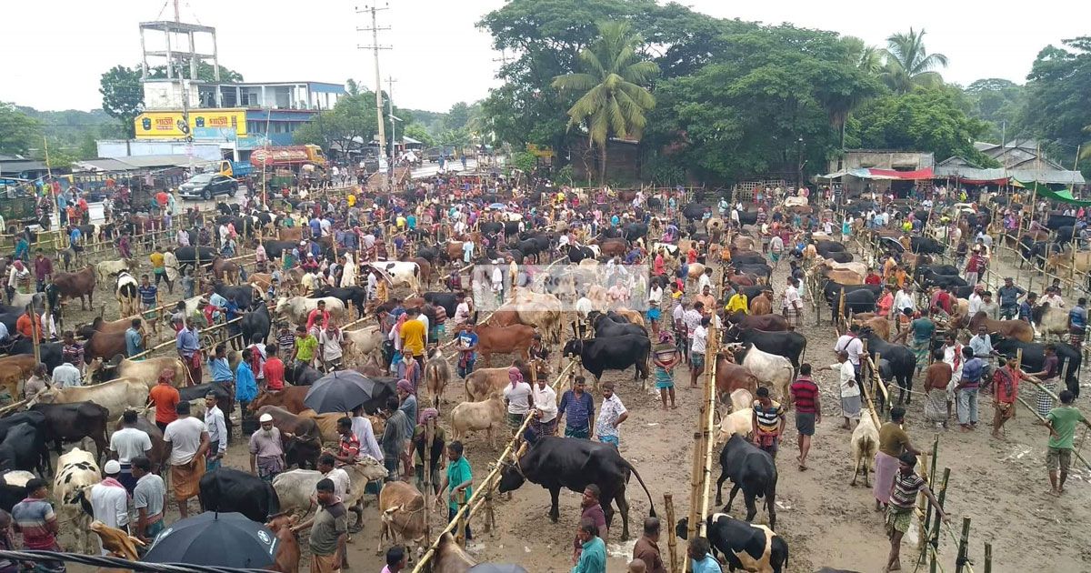 পশুর হাটে টাকা ছিনতাই, গ্রেপ্তার ৩