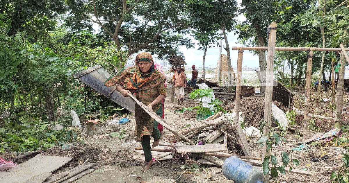 জাজিরা ভাঙছে পদ্মায়, দিশেহারা মানুষ