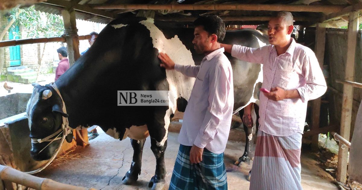 যে কারণে বিক্রি হয়নি শেরপুরের ইউটিউবার-চিরকুমার 