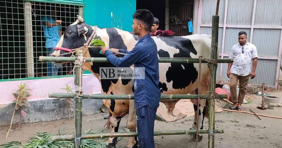 যে কারণে বিক্রি হয়নি শেরপুরের ইউটিউবার-চিরকুমার 