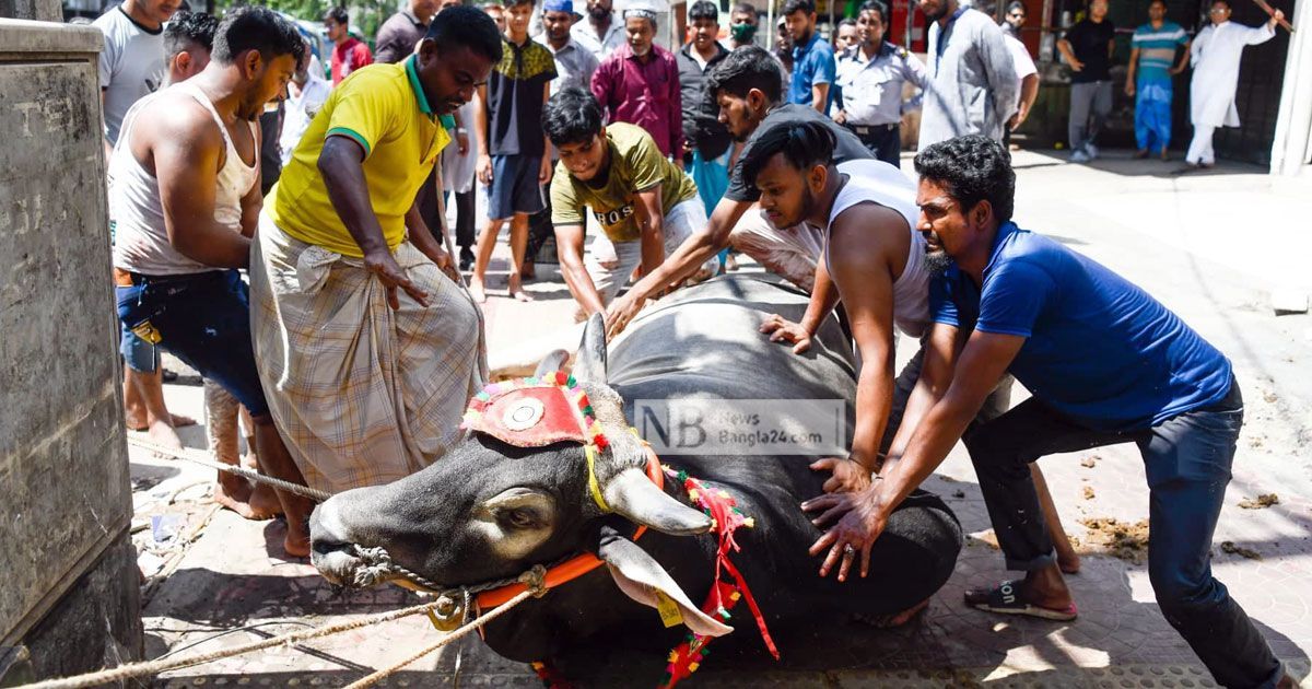 পশুর-ফেলে-দেয়া-অঙ্গের-হাজার-কোটি-টাকার-বাজার