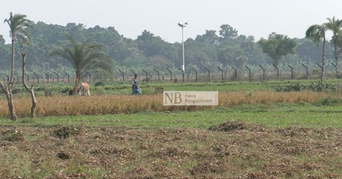 ফেনসিডিলসহ-বিএসএফের-হাতে-আটক-বাংলাদেশি