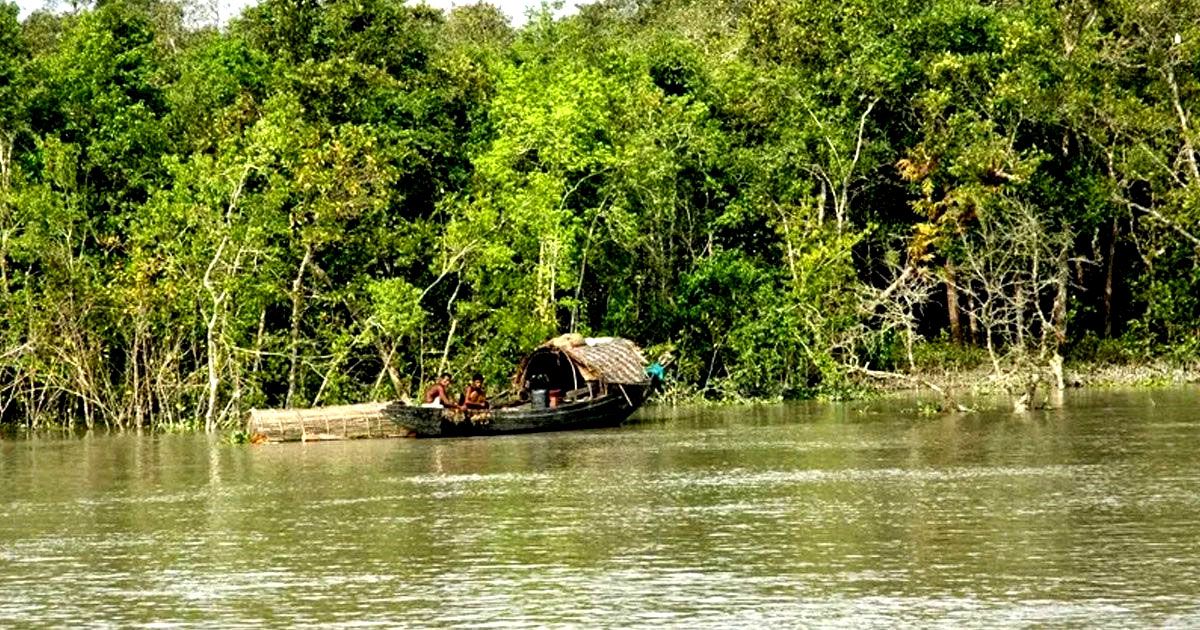 পাঁচ-বছরে-সুন্দরবন-উপকূলে-জমির-দাম-বেড়েছে-তিন-গুণ