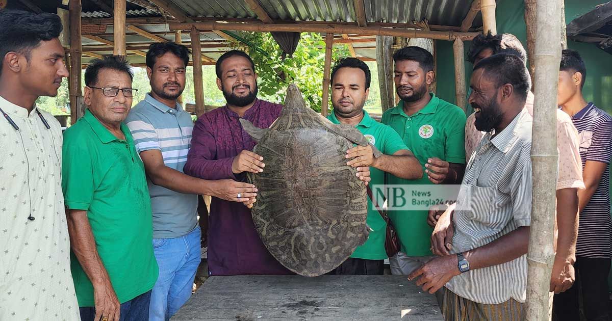 ২০ হাজার টাকায় বিক্রির খবরে জব্দ বিপন্ন গঙ্গা কাছিম