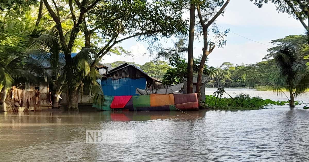 মেঘনায়-অস্বাভাবিক-জোয়ার-লক্ষ্মীপুরে-২০-গ্রাম-প্লাবিত