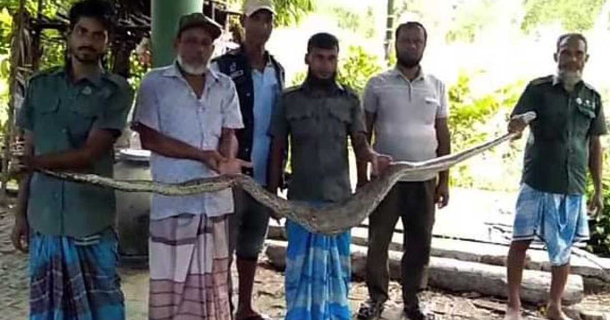 একই দিনে এক গ্রাম থেকে হরিণ ও অজগর উদ্ধার