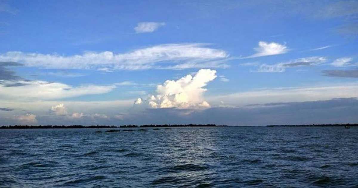 হাওরে মাছ ধরতে গিয়ে পল্লী বিদ্যুতের লাইনম্যান নিখোঁজ