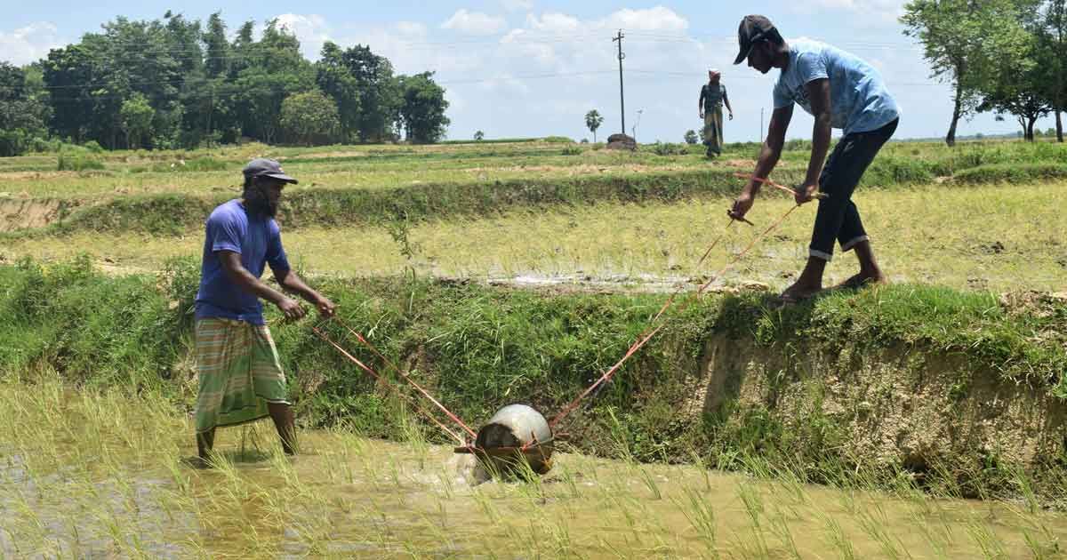 দিনে একবার নয়, উত্তরে বিদ্যুৎ যাচ্ছে বারবার