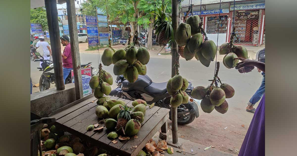 গরমে ডাবের রেকর্ড দাম