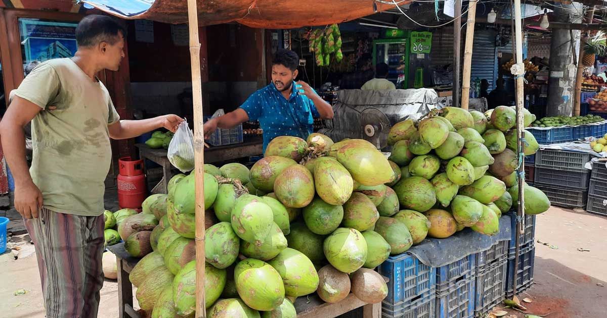 গরমে ডাবের রেকর্ড দাম