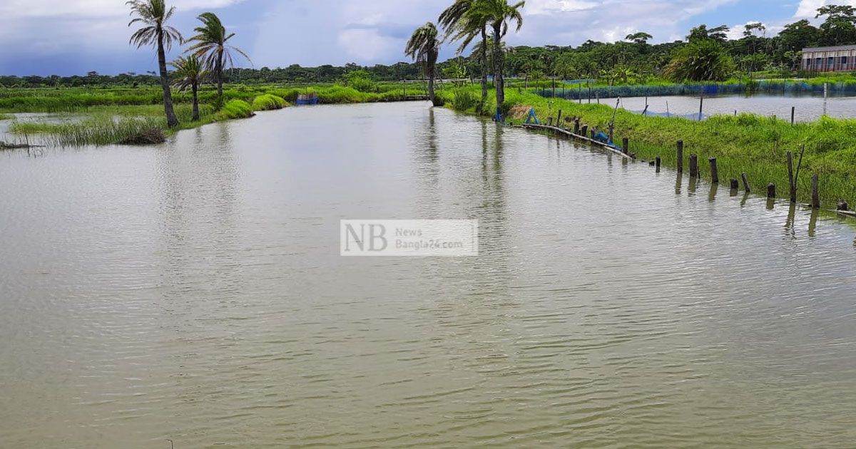 খাল দখল করে মাছ চাষের অভিযোগ