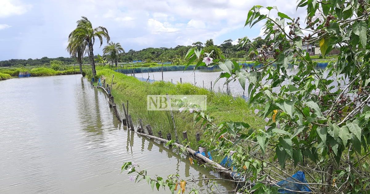 খাল-দখল-করে-মাছ-চাষের-অভিযোগ