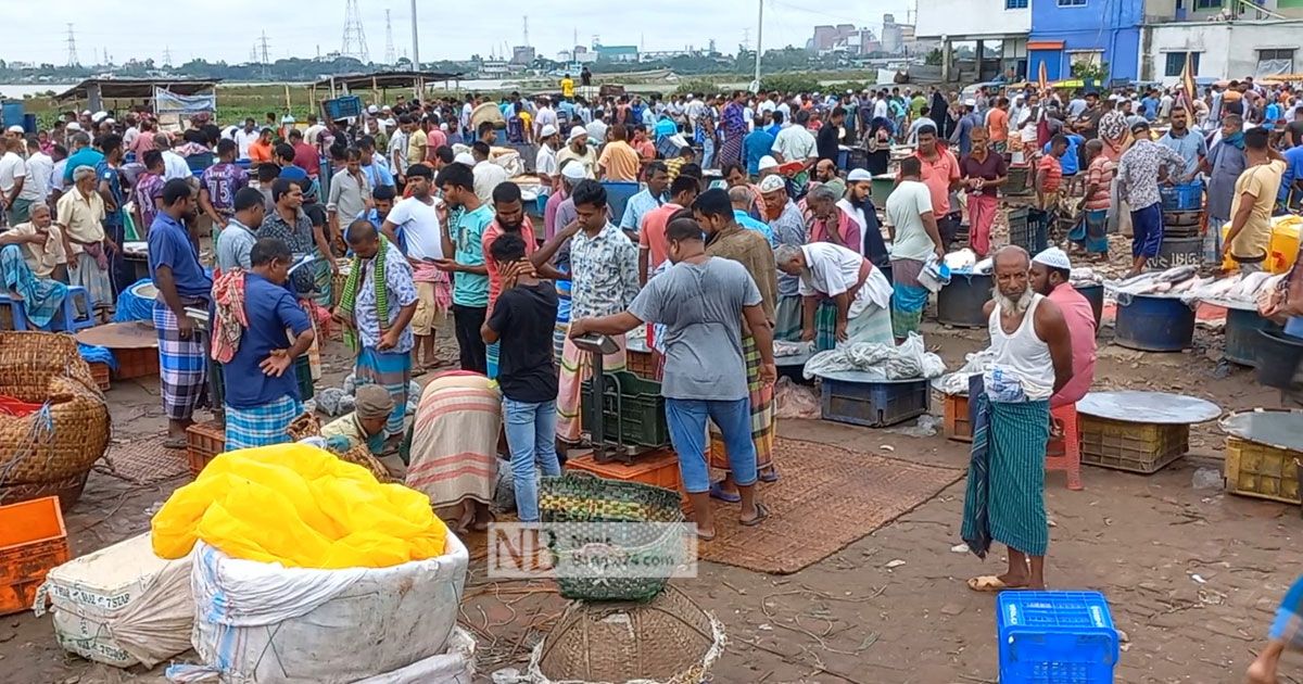 ইলিশের ছড়াছড়িতেও চড়া দাম