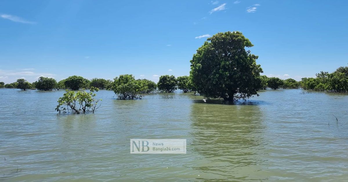 হাওরের সৌন্দর্য কেড়ে নিচ্ছে প্রাণও