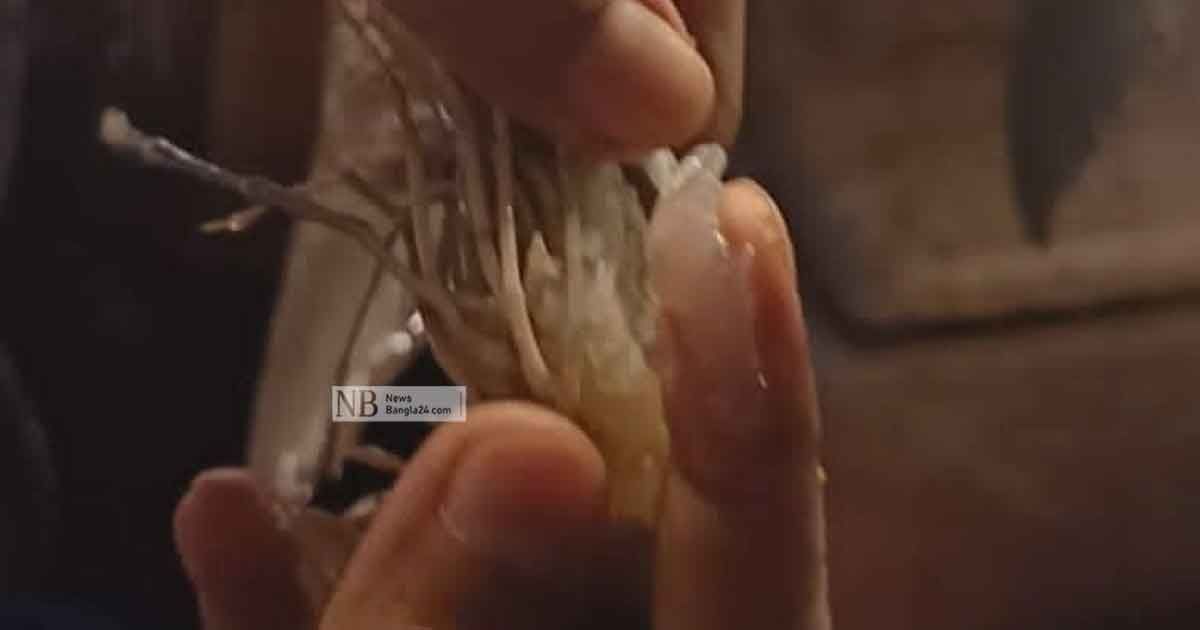 চিংড়ি মাছে জেলি, ১০ হাজার টাকা দণ্ড