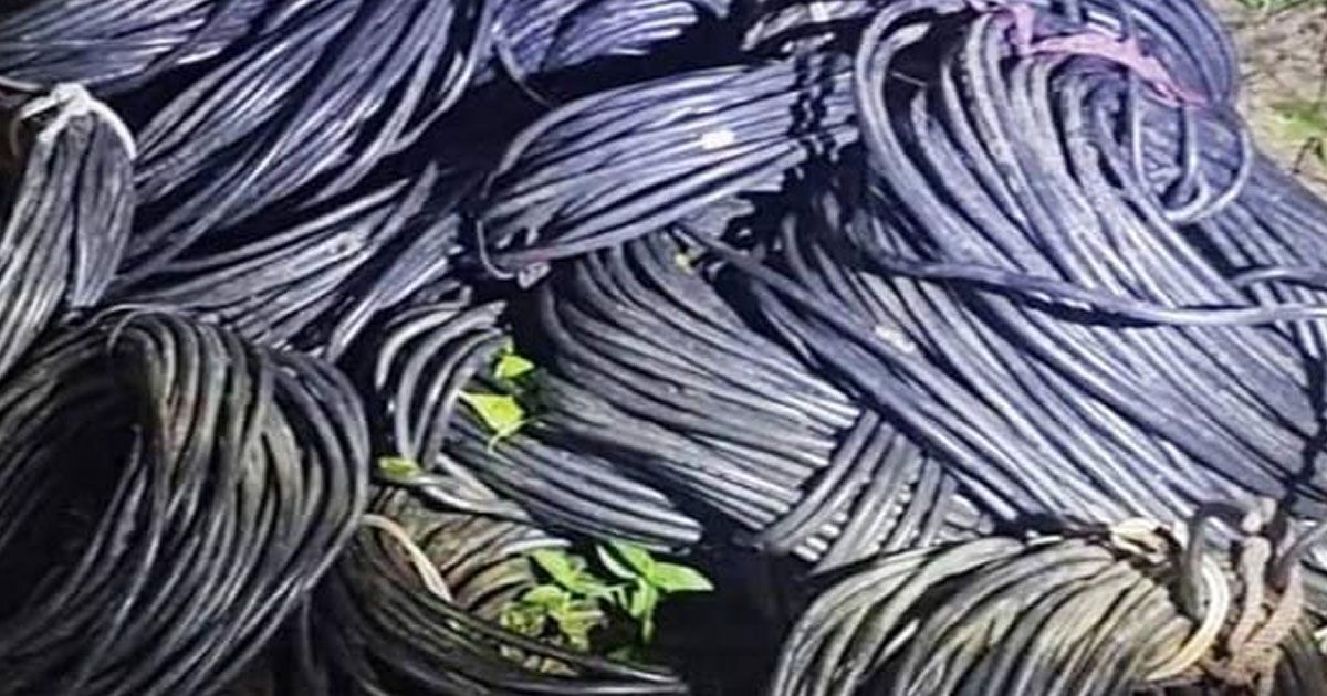 ইউপি সদস্যের পুকুর থেকে চুরির তার উদ্ধার