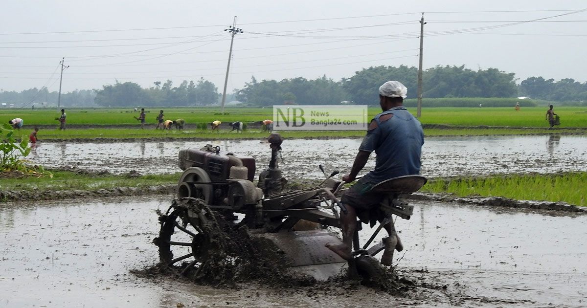 বর্ষায় নেই বৃষ্টি, সেচযন্ত্রেই ভরসা