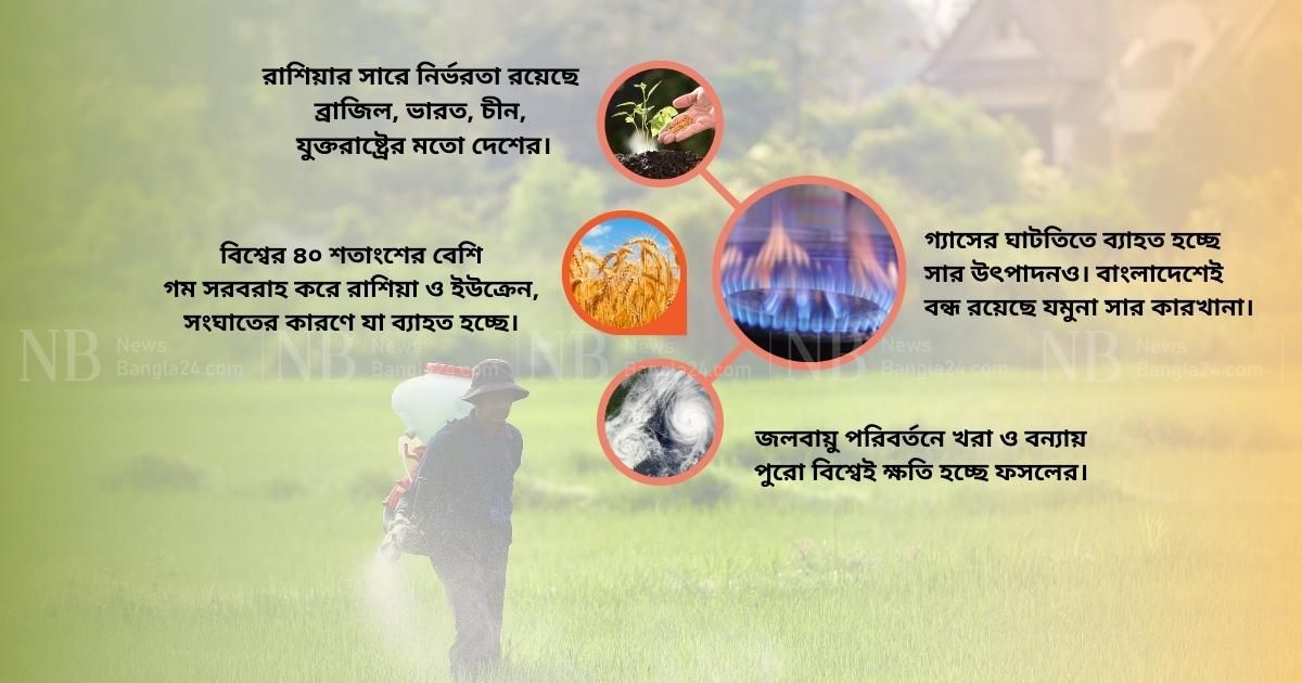 বিশ্বব্যাপী আসন্ন খাদ্য-সার সংকট, শঙ্কা বাংলাদেশেও