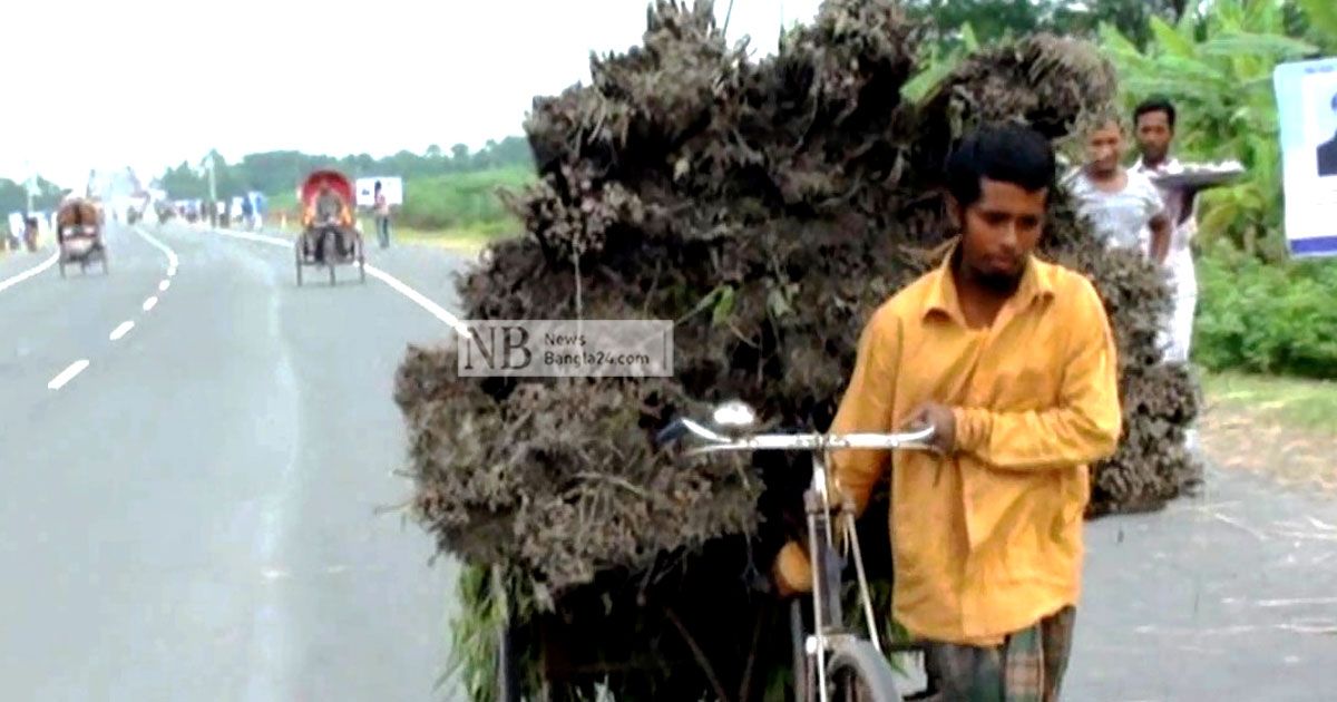 ‘বড় বিপদে আছি বাপু’