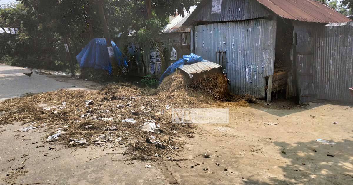 আশাকে মারল কে